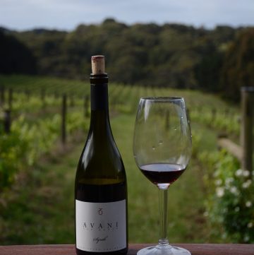 A bottle and glass of red wine