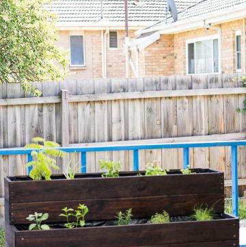 Wooden herb garden with ten different herbs