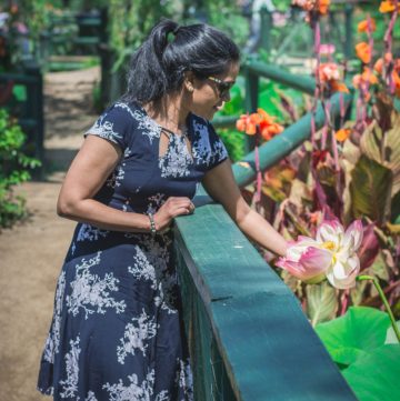 woman holding pink lotus near pond