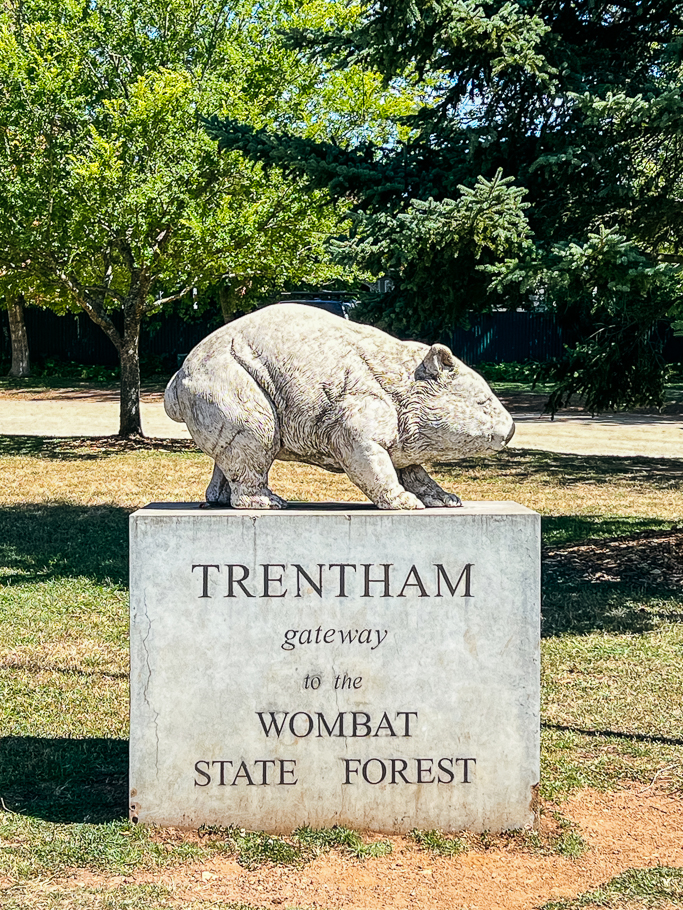 wombat sculpture